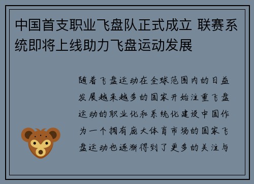 中国首支职业飞盘队正式成立 联赛系统即将上线助力飞盘运动发展