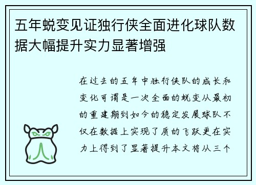 五年蜕变见证独行侠全面进化球队数据大幅提升实力显著增强