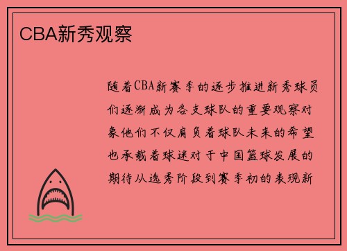 CBA新秀观察