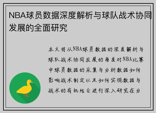 NBA球员数据深度解析与球队战术协同发展的全面研究
